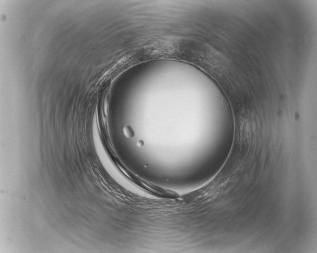 X0000056021250200508261832