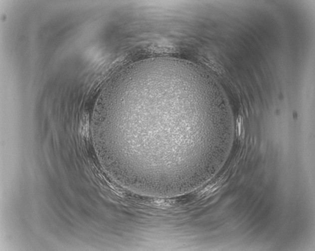 X0000056021251200508261832