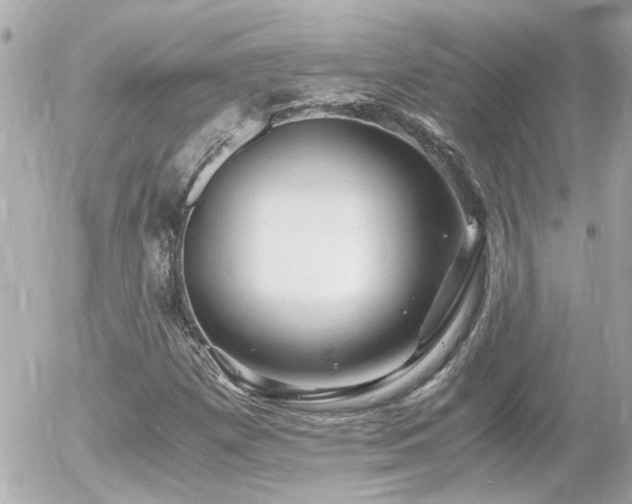 X0000056021257200508261832