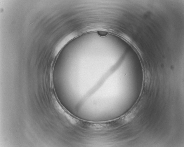X0000056021290200508261832