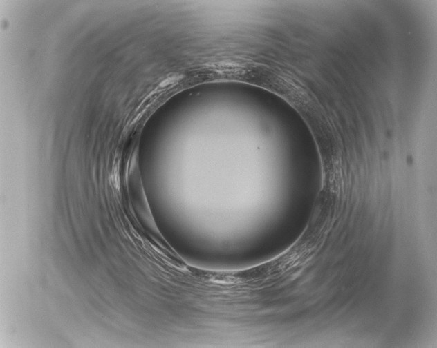 X0000056021298200508261831