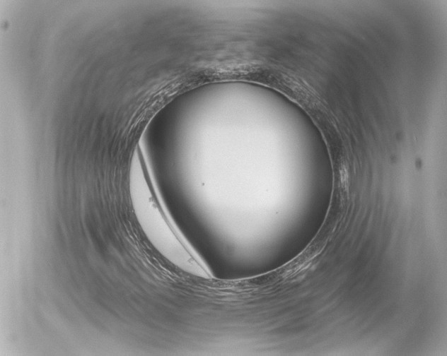 X0000056021300200508261831