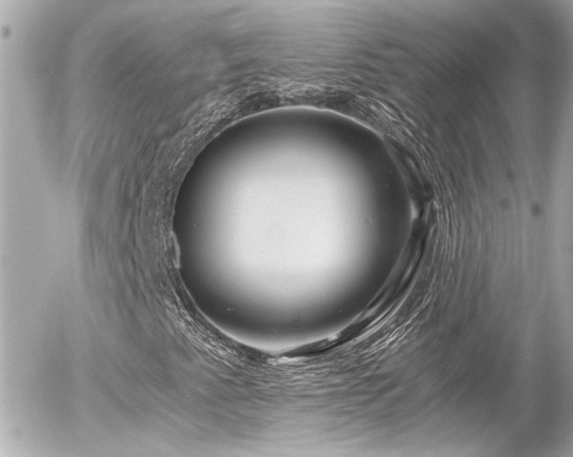 X0000056021345200508261831