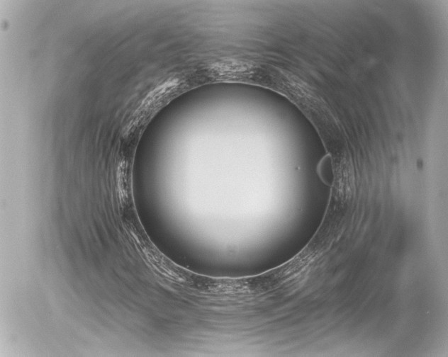 X0000056021346200508261831