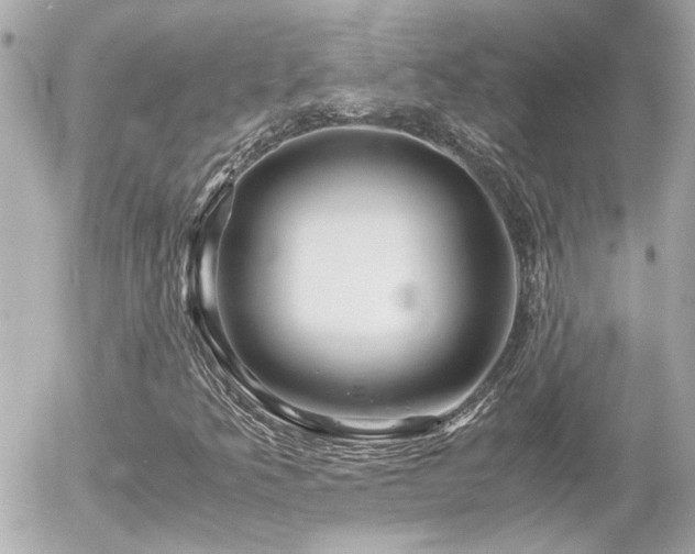 X0000056021349200508261831