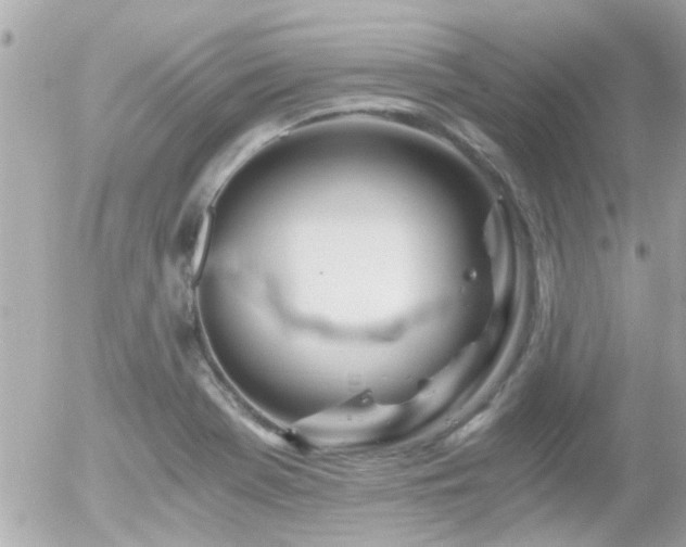 X0000056021369200508261830