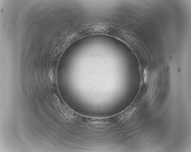 X0000056021395200508261829