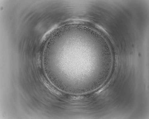 X0000056021403200508261829