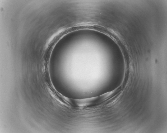 X0000056021406200508261829