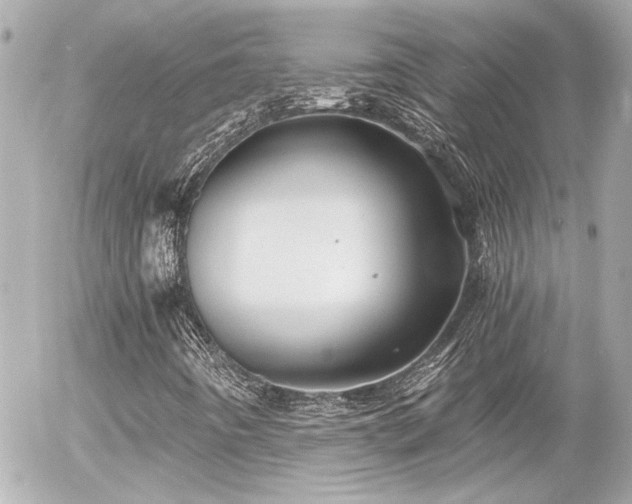 X0000056021442200508261829
