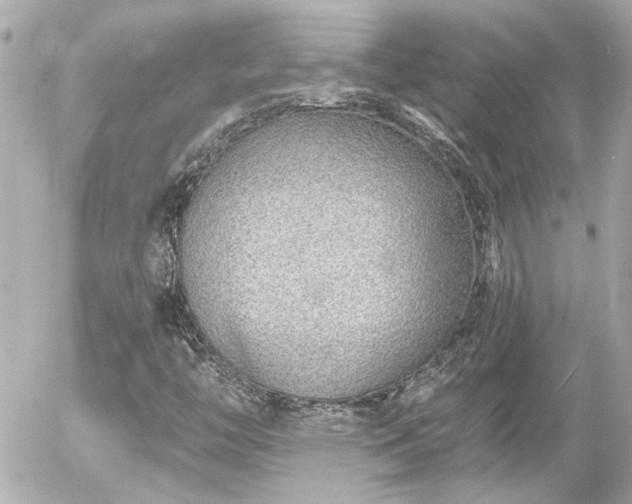 X0000056021446200508261829