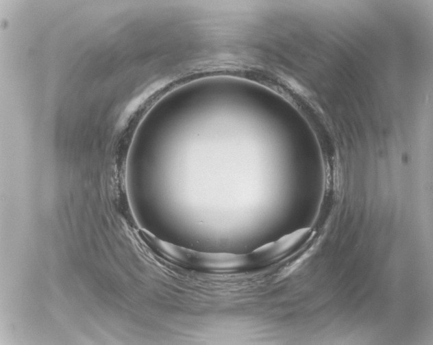 X0000056021453200508261829
