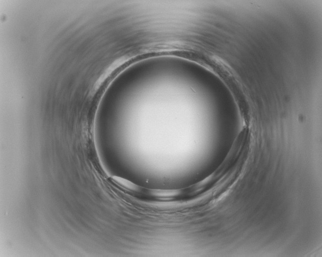 X0000056021457200508261829