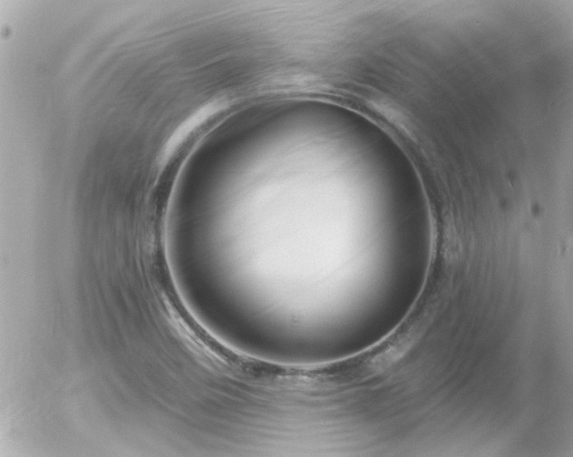 X0000056021458200508261829