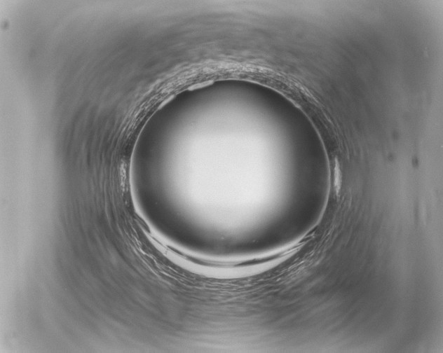 X0000056021492200508261828