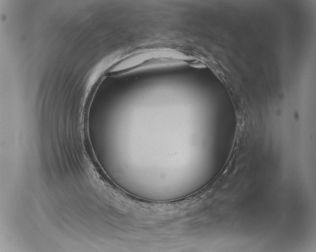 X0000056020006200509021808