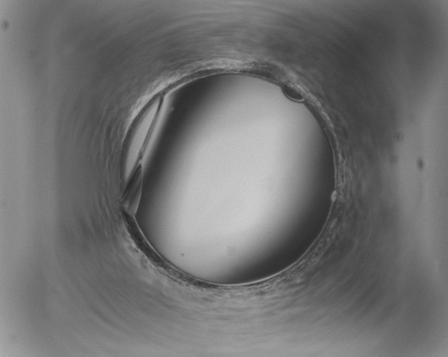 X0000056020011200509021808