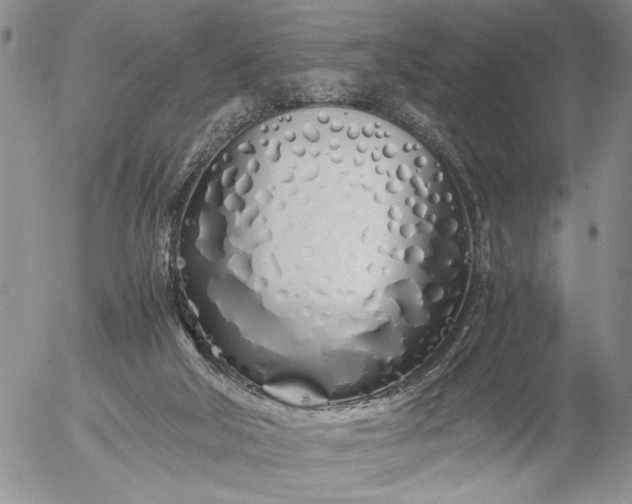 X0000056020018200509021807