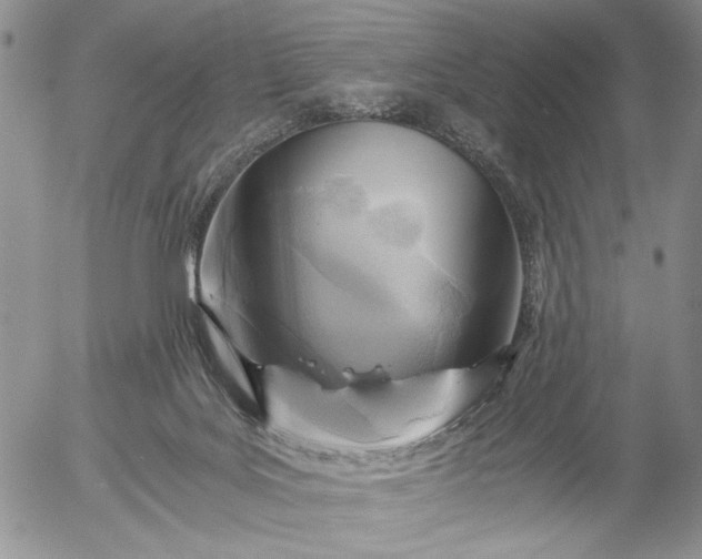 X0000056020027200509021807