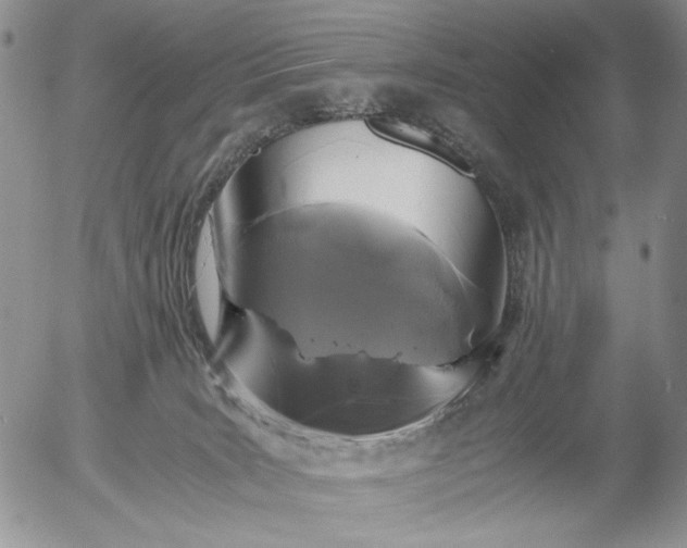 X0000056020035200509021807