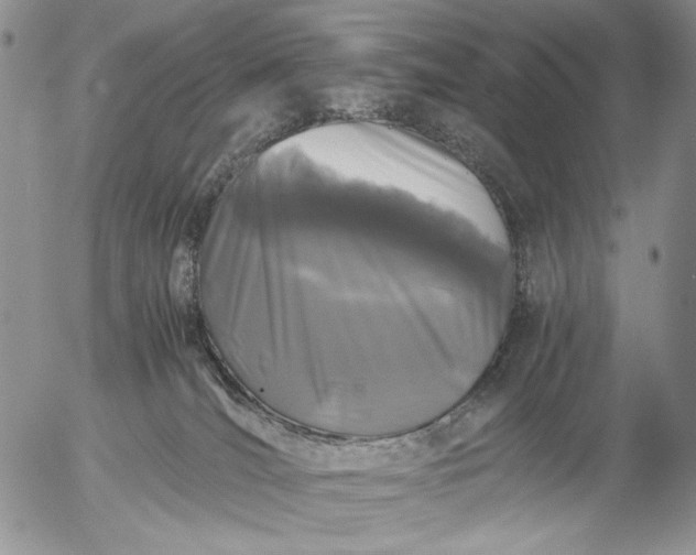 X0000056020036200509021807