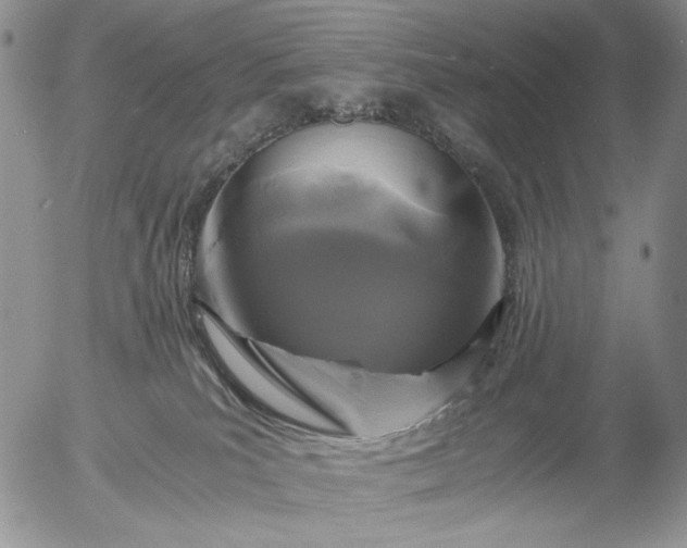 X0000056020039200509021807