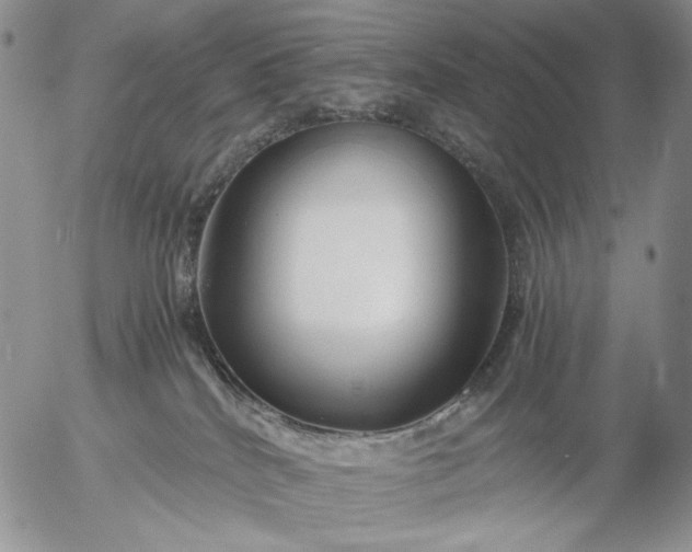 X0000056020040200509021807