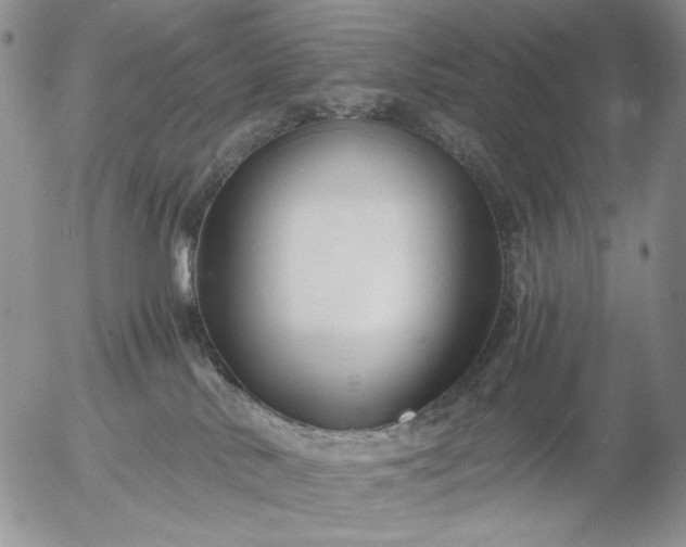 X0000056020042200509021807