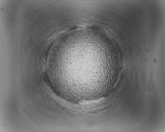 X0000056020043200509021807
