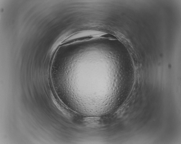X0000056020051200509021806