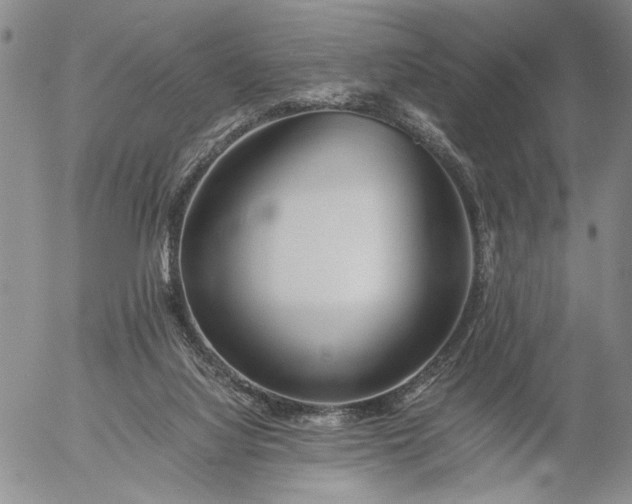 X0000056020068200509021806