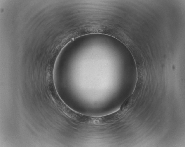 X0000056020080200509021807
