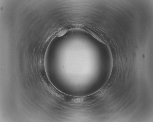 X0000056020084200509021807
