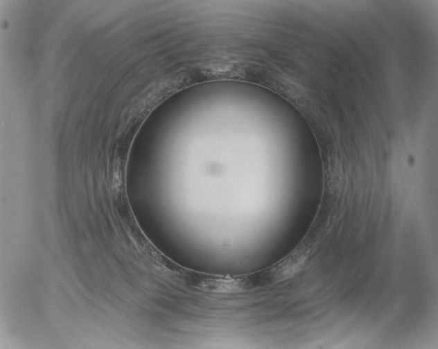 X0000056020085200509021807