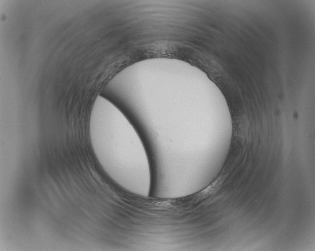 X0000056020086200509021807