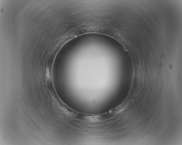 X0000056020089200509021807