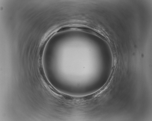 X0000056020101200509021806