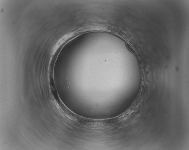 X0000056020104200509021806