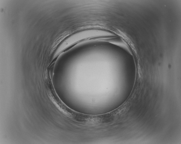X0000056020105200509021806