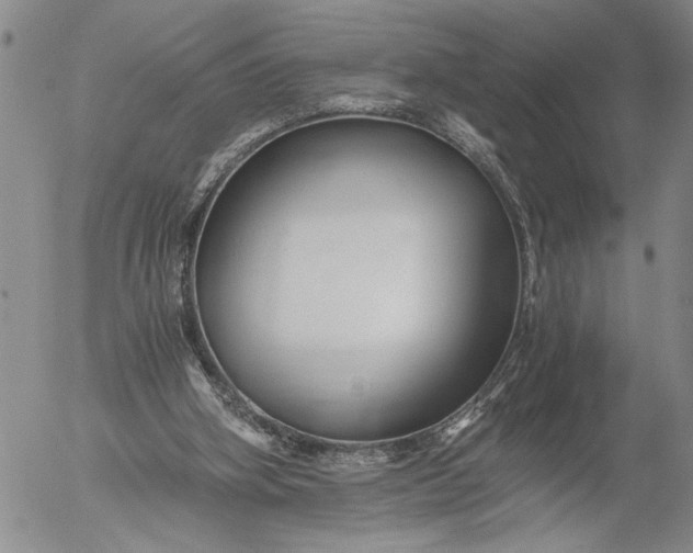 X0000056020106200509021806