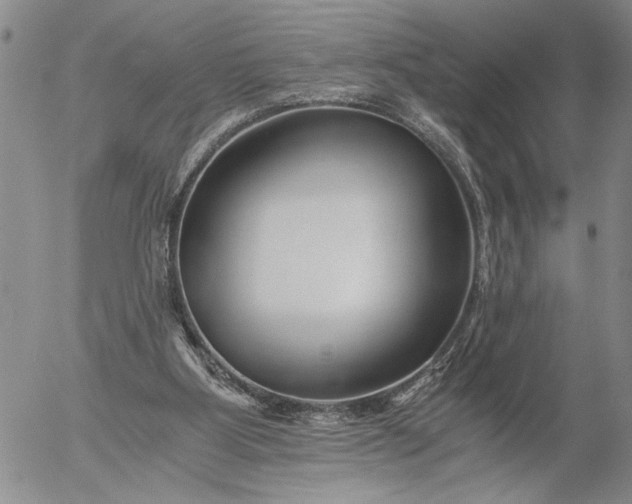 X0000056020107200509021806