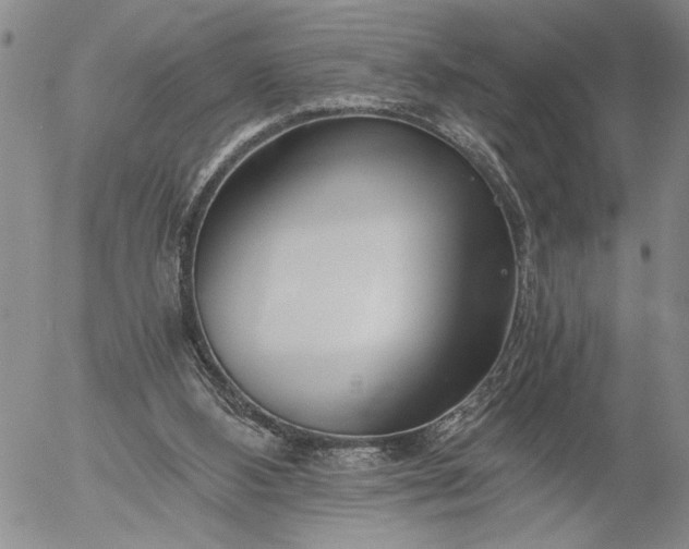 X0000056020108200509021806
