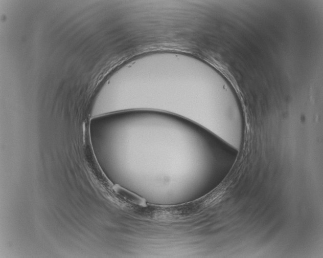 X0000056020109200509021806