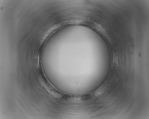 X0000056020110200509021806