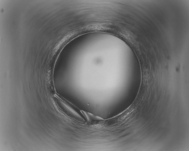 X0000056020111200509021806