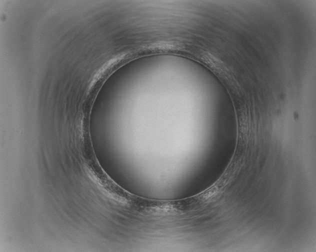 X0000056020112200509021806