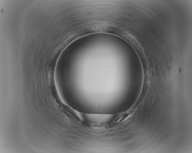 X0000056020113200509021806