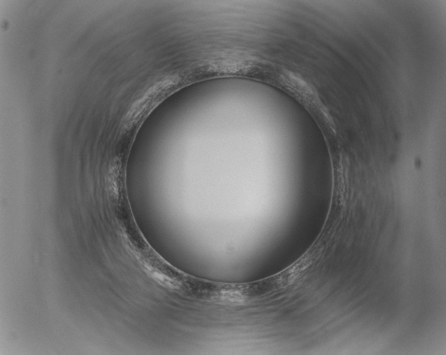 X0000056020114200509021806