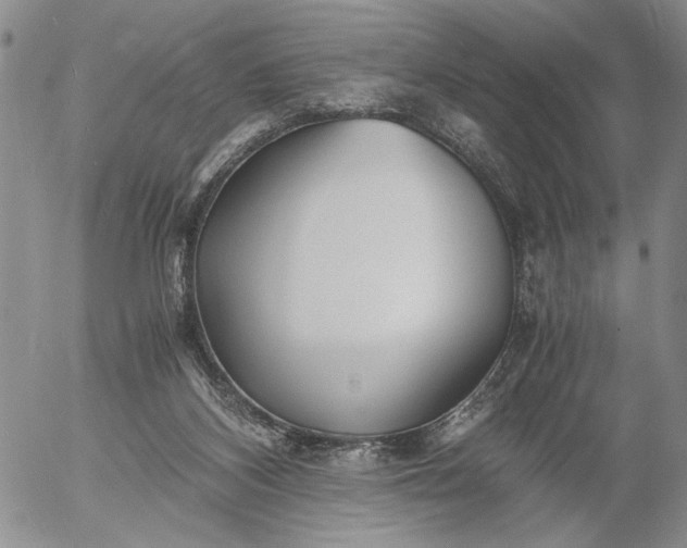 X0000056020116200509021806