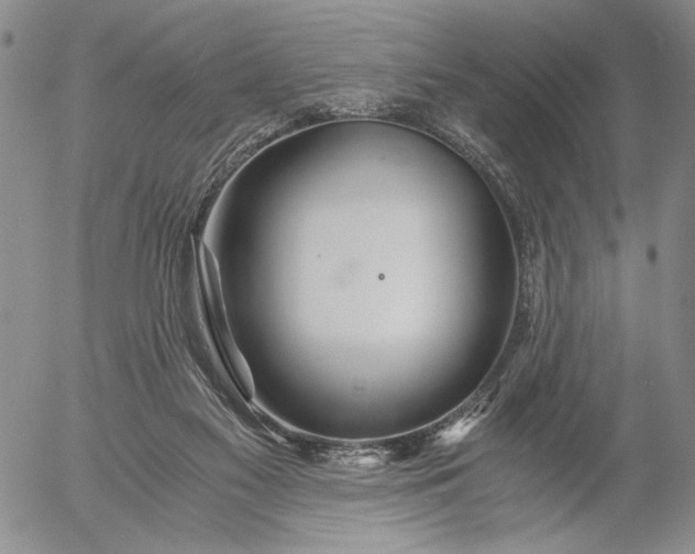 X0000056020117200509021806